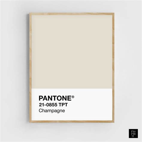 Pantone Champagne Print Pantone Print Pantone Poster Modern Etsy