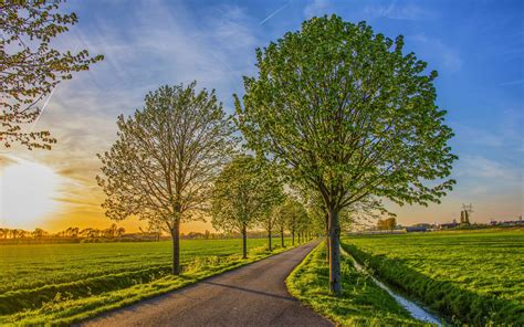 2560x1600 Px Field Landscape Road Sunset Trees High Quality Wallpapershigh Definition Wallpapers