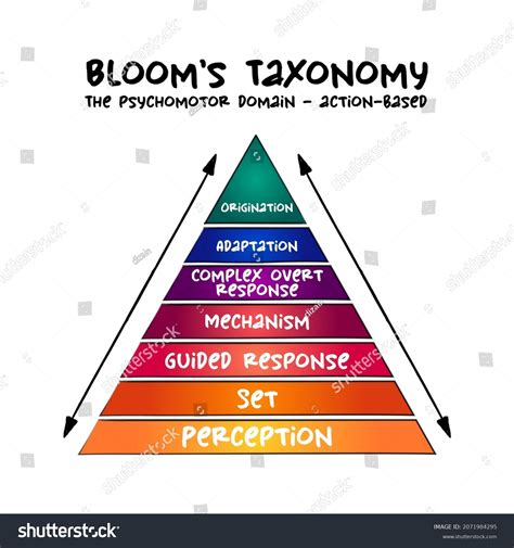 Hand Drawn Blooms Taxonomy Psychomotor Domain Stock Vector Royalty
