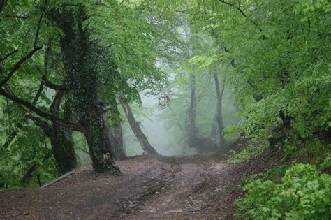 Humid Subtropical Climate Photos Travel Dreams Climates Places