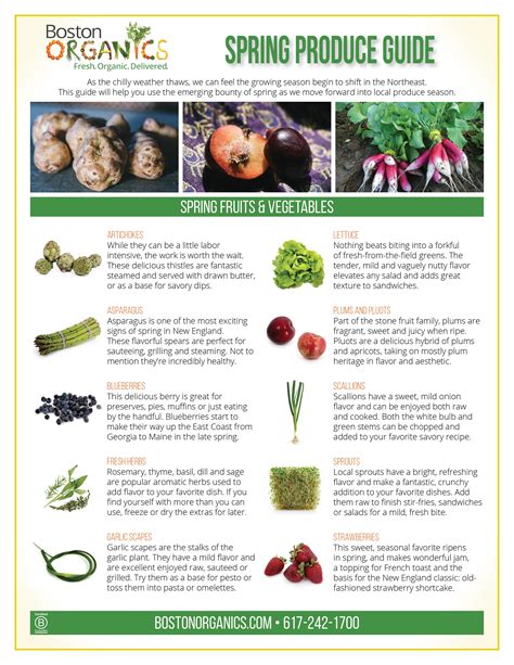 A Seasonal Guide To Spring Produce