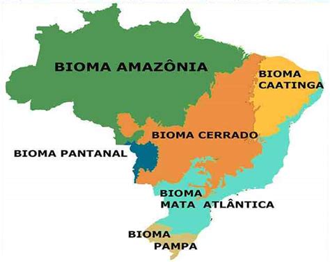 Biomas Brasileiros O Que Caracter Sticas E Mapa Estudo Pr Tico