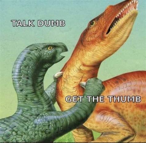 Dinosaur Memes 23 Pics