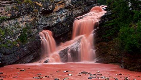 Waterfall That Turns Red Cameron Falls Alberta Canada Waterton
