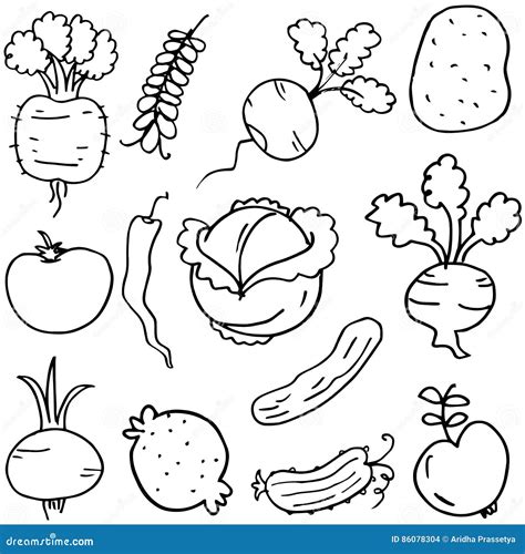 Doodle Of Vegetables Set Hand Draw Stock Vector Illustration Of