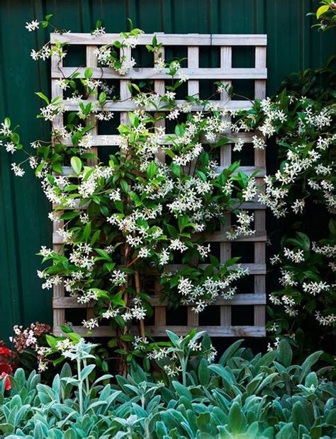 25 Beautiful Diy Trellis For Small Garden Homemydesign Diy Garden