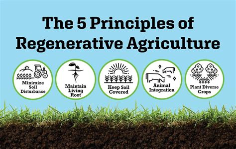 What Is Regenerative Ag — Usa Regenerative Agricultural Alliance Inc