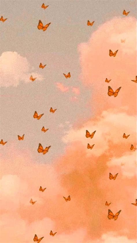 Download Butterflies Clouds Cute Background Wallpaper By Dennisc14