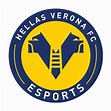Hellas Verona en 2023 | Equipo de fútbol, Logos de futbol, Fútbol