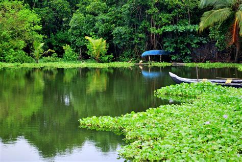Top 10 Places To Visit In Kerala Kerala Beyond The Backwaters