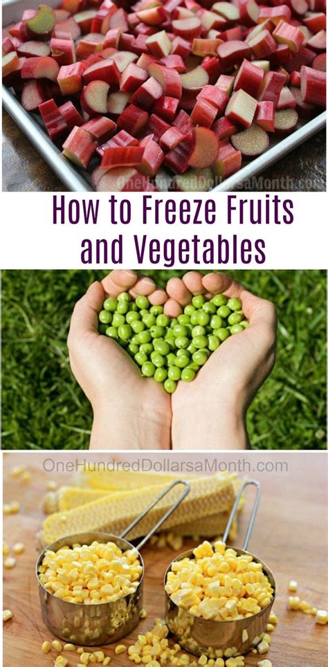How To Freeze Fruits And Vegetables One Hundred Dollars A Month