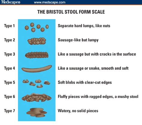 Bristol Stool Form Stools Item