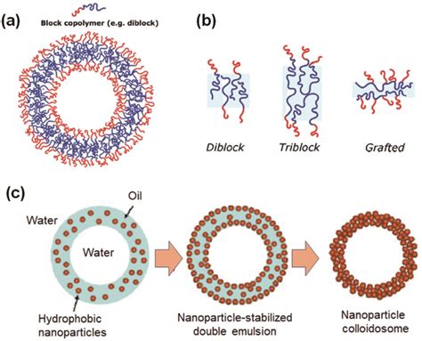 Schematic Illustration Of A Polymersomes Of Diblock Copolymer And B Download Scientific