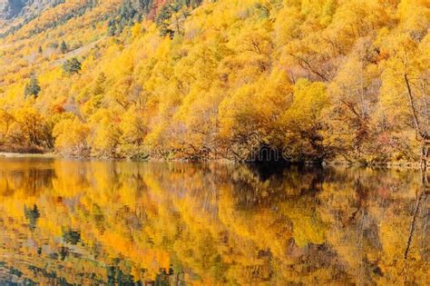Mountain Lake With Reflection And Colorful Trees Autumn Landscape
