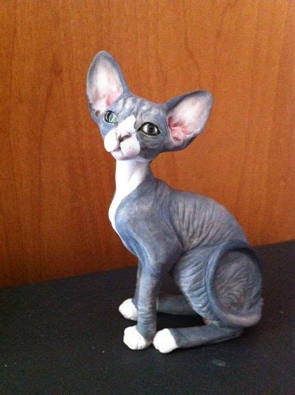 Jump to these adorable kittens are available for adoption in cleveland, ohio. Épinglé par Odette sur SPHYNX