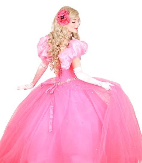 pretty pretty hot pink princess pretty pretty princess characters your magical party