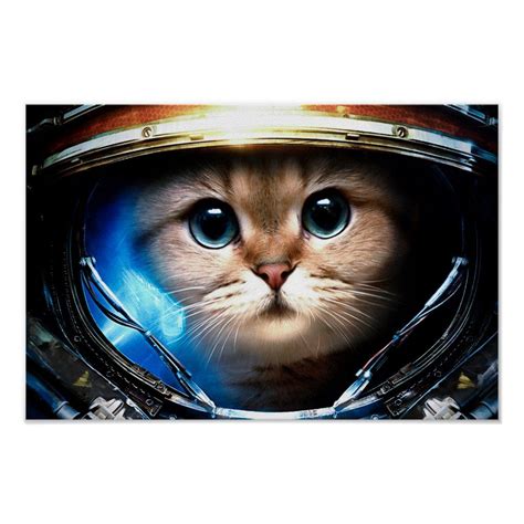 Funny Cat In Space Helmet Poster Cat Icons Aesthetic