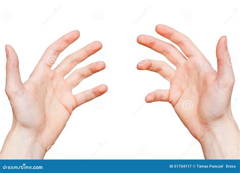 First Person Hands