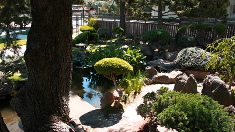 Find images of koi pond. Japanese Community Garden & Koi Pond - YouTube