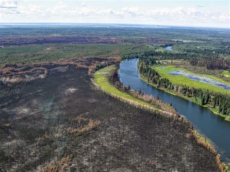 Albertas Boreal Forest Could Be Dramatically Altered By 2100 Due To