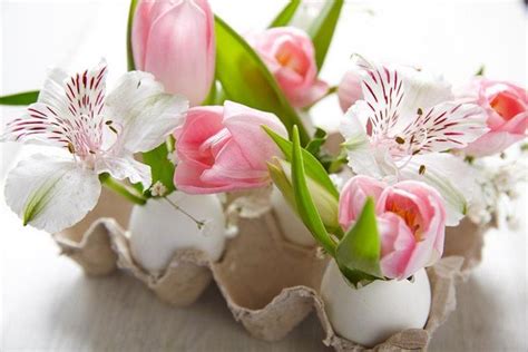 Diy Easter Decoration Ideas Eggshells And Spring Flowers In Egg Carton