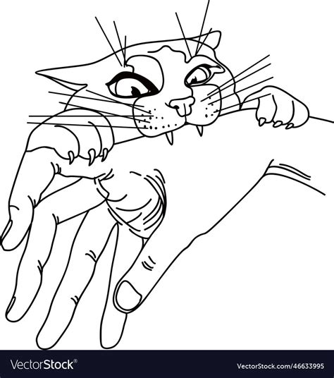 Angry Cat Bites A Mans Hand Drawing Royalty Free Vector