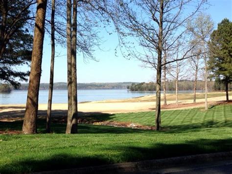 View Of Badin Lake Lake Wildlife Views