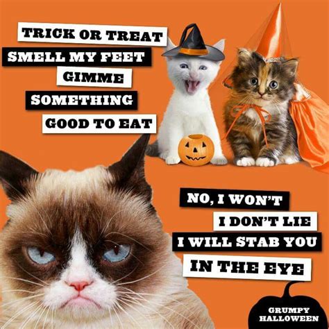 It Was A Grumpy Cat Halloween Tap The Link Now To See All Of Our