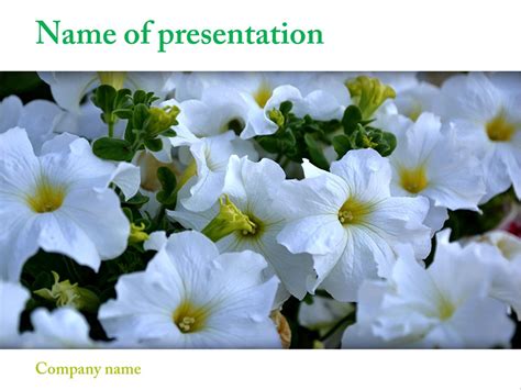 Free Beautiful Flowers Powerpoint Template Presentation Cherry Templates
