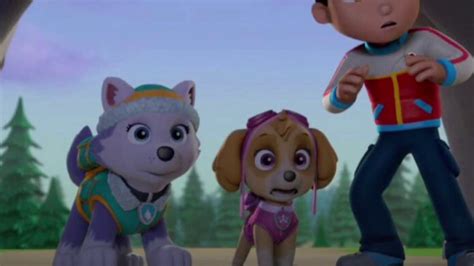 Paw Patrol Skye And Everest Tribute “rd” Youtube
