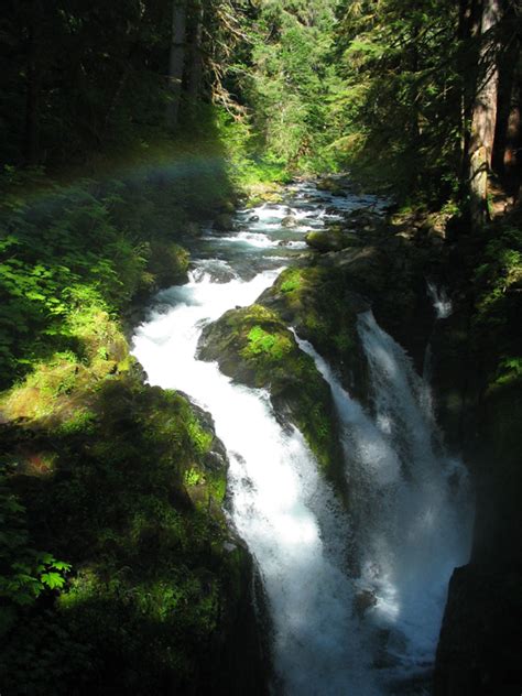 Sol Duc Falls Hoh Rainforest Pics4learning