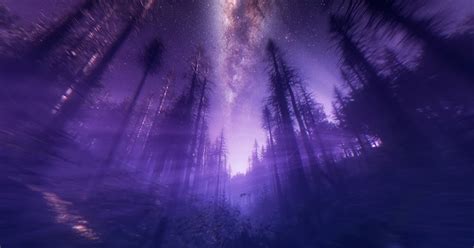 Purple Forest Night Wallpaper Cave Wallpapers