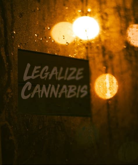 What Are The Laws And Ethics Behind Cannabis Legalization Fāvs News