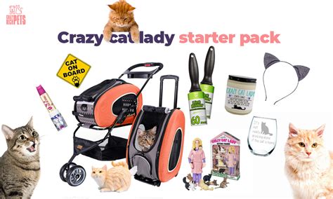 The 36 Crazy Cat Lady Starter Kit Products You Need To Own