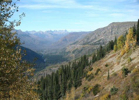 Autumn Poplars Mountain Valleys And Ridges Stock Photo Image Of