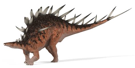 Kentrosaurus Dinopedia Fandom