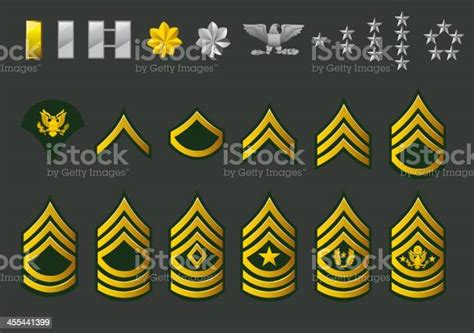 Us Army Enlisted Ranks Stock Illustration Download Image Now