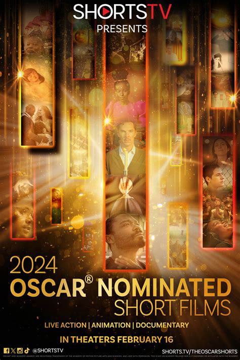 2024 Oscar Nominated Short Films Documentary The Museum Of Fine Arts