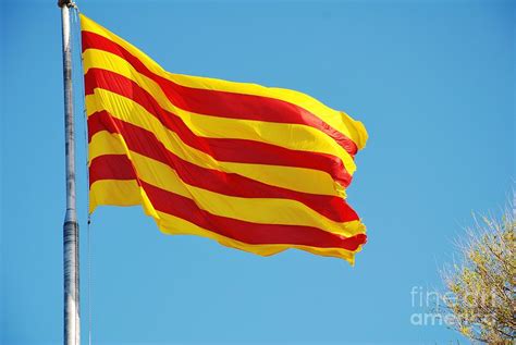 La Senyera The Flag Of Catalonia Photograph By David Fowler Fine Art