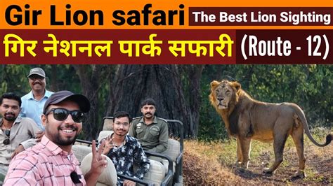 Gir Lion Safari Gir National Park Route 12 Jungle Safari Sasan
