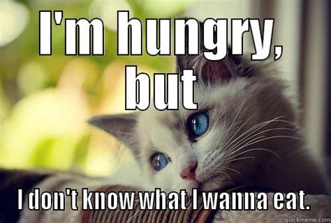 Hungry Cat Quickmeme