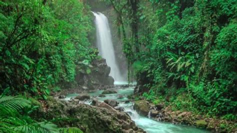 Dream Costa Ricajunglewaterfall Free Download