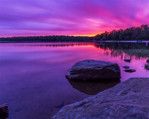 Wallpaper Purple Sunset Forest Lake Rocks 1920x1200 Hd