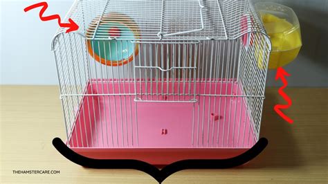 Compilation Of Bad Hamster Cages That Are Not Safe