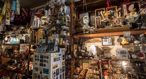 Say Goodbye To The Most Enchanting Oddities Shop In Nyc Gothamist