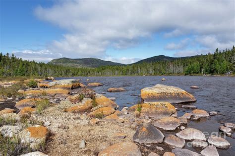 Shoal Pond Pemigewasset Wilderness New Hampshire Usa Photograph By