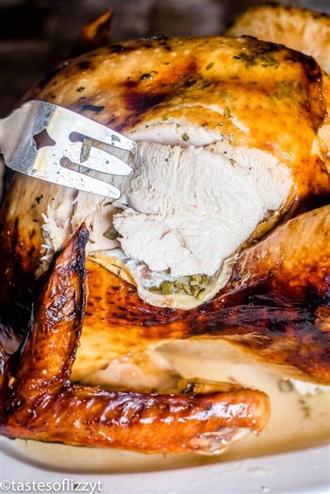 roast turkey in an electric roaster {easy recipe for thanksgiving turkey} turkey recipes