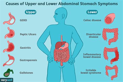 Symptoms Of Common Digestive Problems 2023