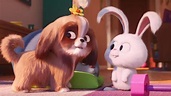 New Trailer for THE SECRET LIFE OF PETS 2 Focuses on Tiffany Haddish's ...