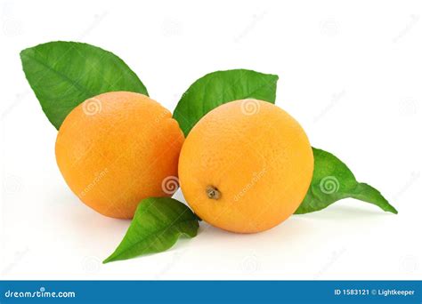Fresh Oranges With Leaves Stock Image Image Of Fresh 1583121